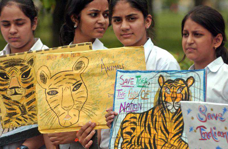 World Wildlife Day: Here's How You Can Teach Students About The Wild