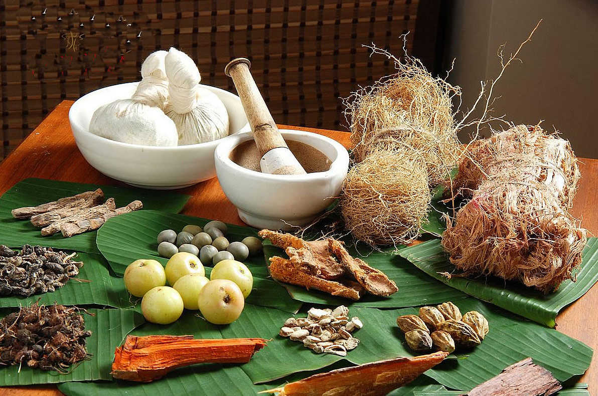 Read this and get started with a career in Ayurvedic Medicine