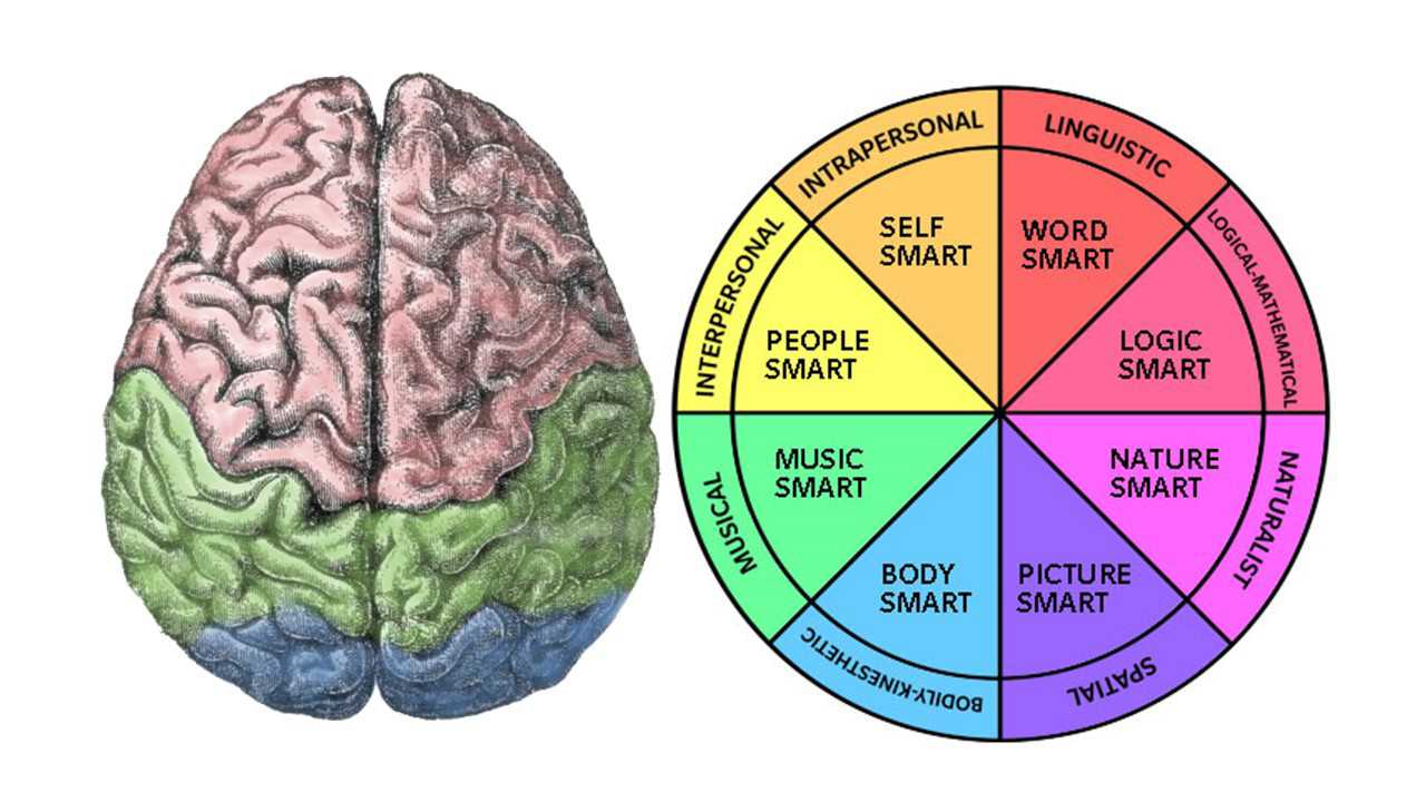 linguistic multiple intelligence