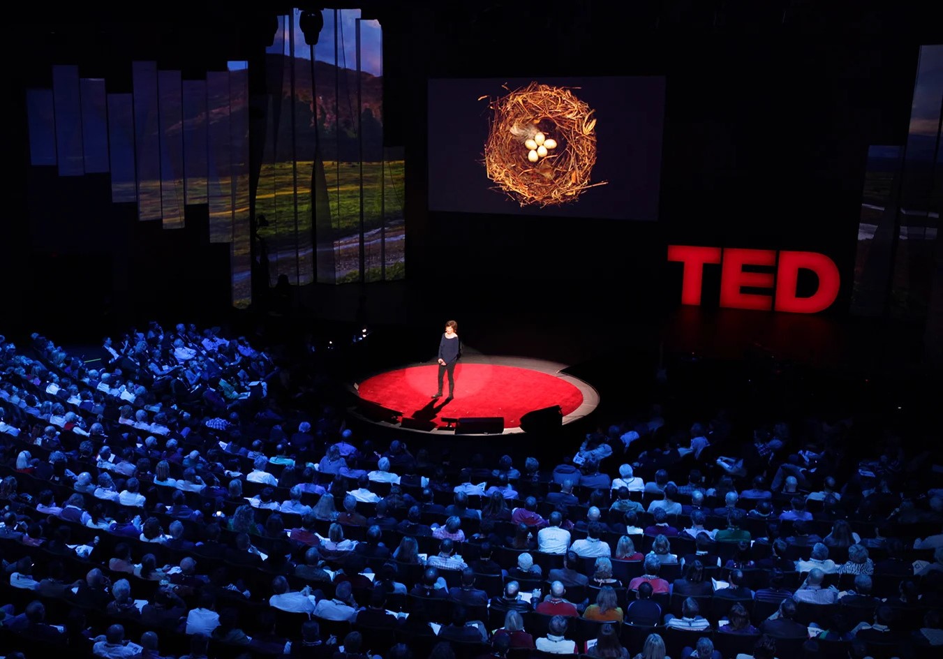 Ted talks фото