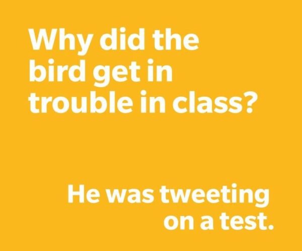 Classroom Chuckles: 15 Jokes to Make Your Day | ScooNews